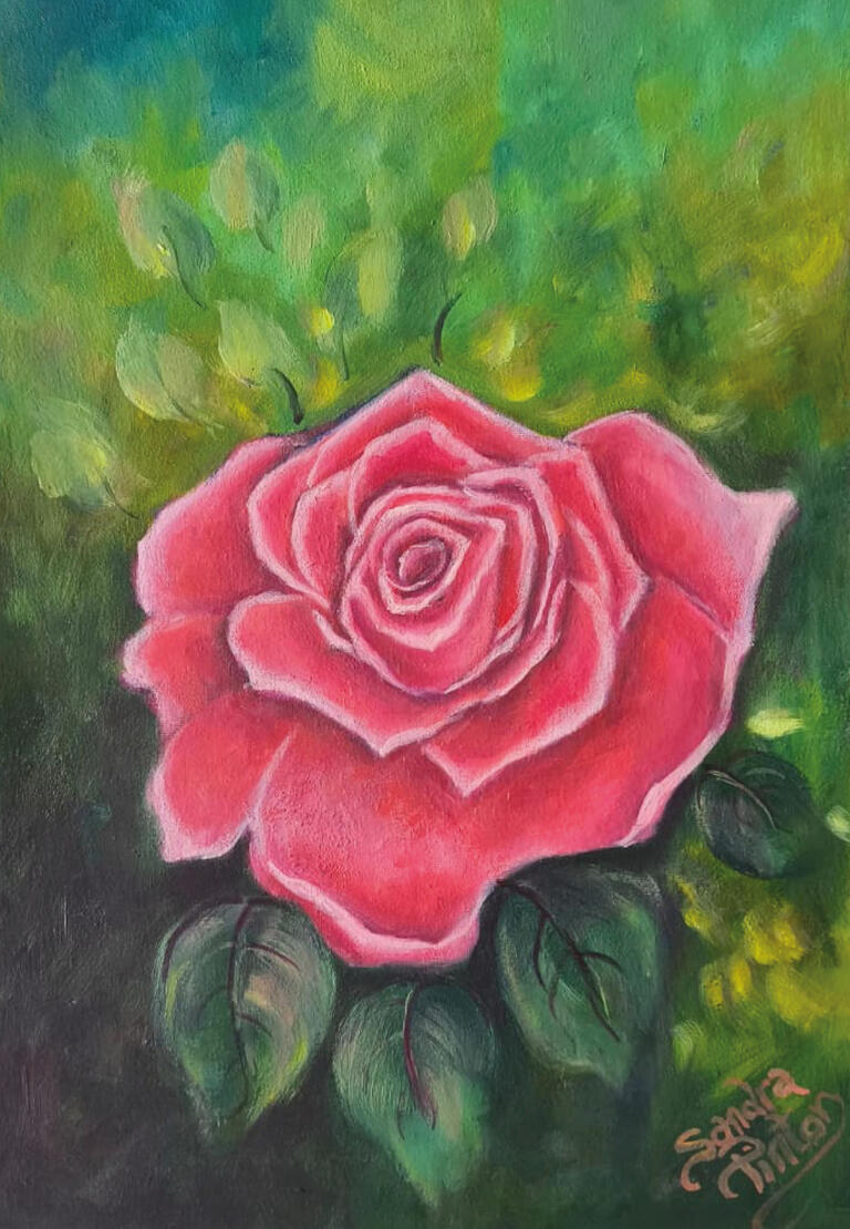Rosa Rosa